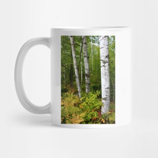 Autumn Comes to the North Woods Mug